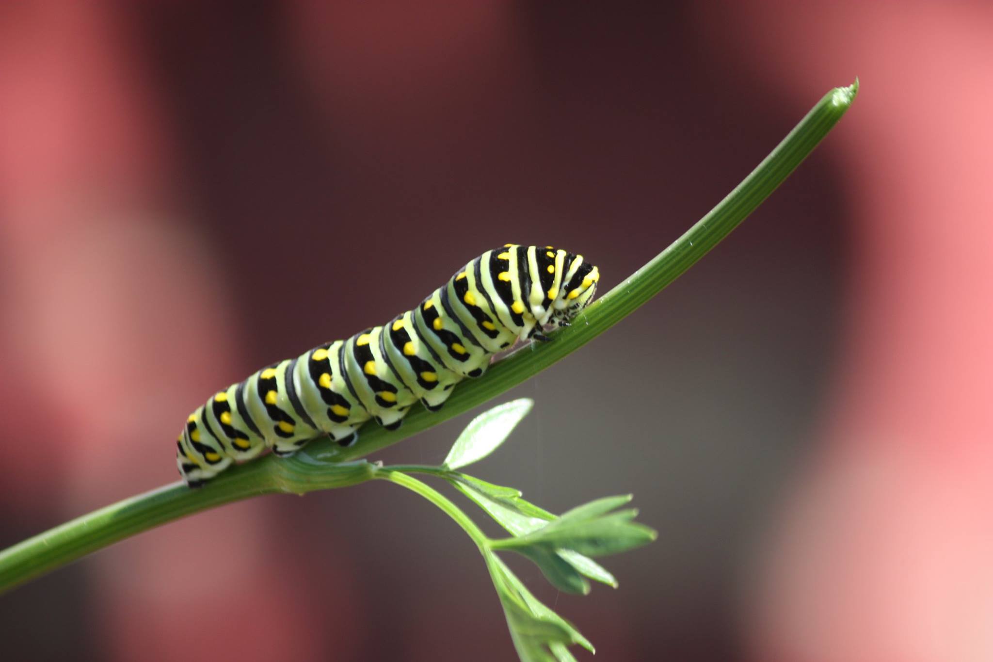 aed23262-7193-42d6-be3e-0f17e82f20cb